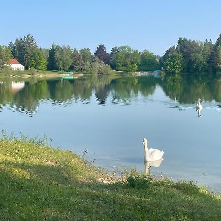 Sonnige Ferienwohnung Koenigsdorf A Holzer Konigsdorf Zewnętrze zdjęcie