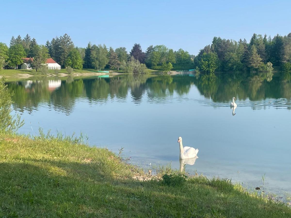 Sonnige Ferienwohnung Koenigsdorf A Holzer Konigsdorf Zewnętrze zdjęcie